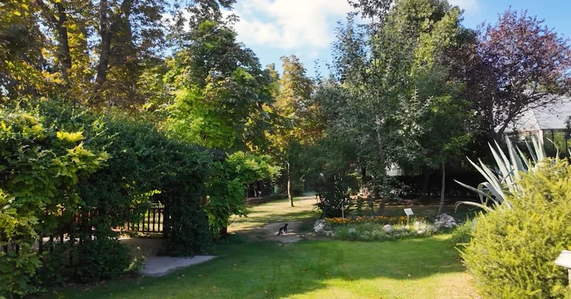 İstanbul’un şifa köşesi: Zeytinburnu Tıbbi Bitkiler Bahçesi