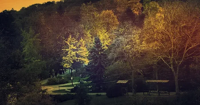Belgrad Ormanı nda yasak aşk dehşeti! Genç kadını darp edip kameraya almışlar