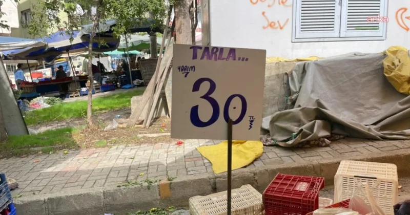 Pazarda fiyatları bu yöntemle yarıya düşürdüler Sözcü Gazetesi