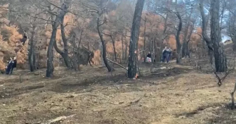 SON DAKİKA… Çanakkale’de ormanlık alanda yanmış ceset bulundu: Gizemi akıllı saatin seri numarası çözecek!