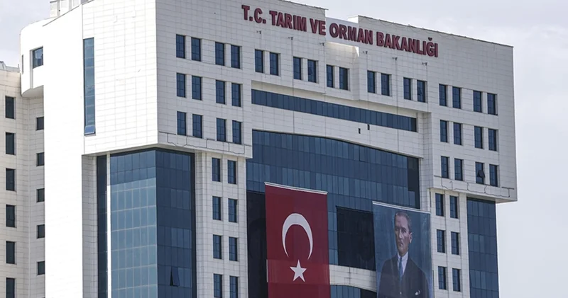 Tarım ve Orman Bakanlığı sözleşmeli personel alacak! Başvuru tarihi 13 24 Ekim