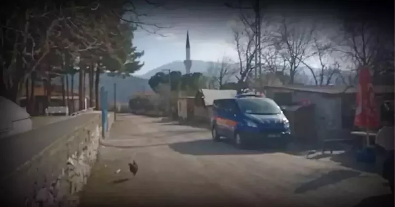 Yaşlı kadını önce öldürüp sonra ateşe vermişti! Mahkemedeki sözlerine hakim dahi dayanamadı