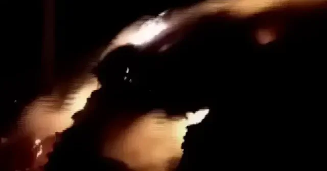 Van’da 800 bağ ot yanarak kül oldu VİDEO İZLE