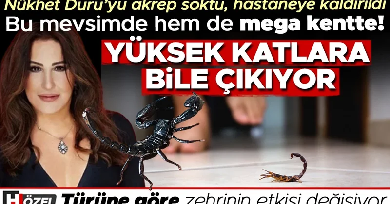 Zehirli akrep soktu, hastaneye kaldırdı! Bu mevsimde ve megakentte yaşanması normal mi? Yüksek katlara bile çıkabiliyor