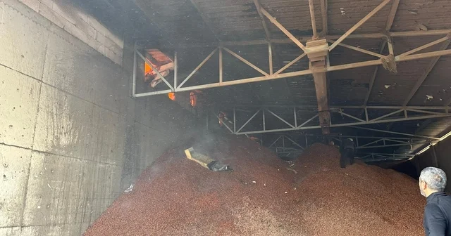 Fındık fabrikasındaki yangın, 2,5 saatte kontrol altına alındı Sakarya Haberleri