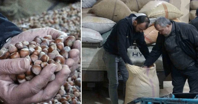 Dünyadaki üretimin yüzde 68 ini karşılıyoruz: Fiyatlar 220 liradan 180 liraya düştü Türkiye Ekonomisi Haberleri