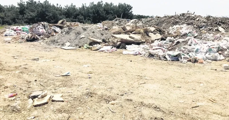 Ormanın kıyısında çevre katliamı