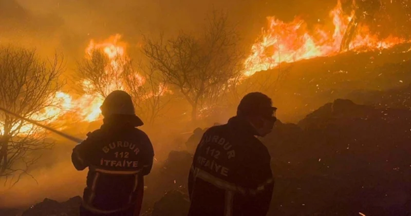 İzmir’de ormanı yakan 5 defineci tutuklandı