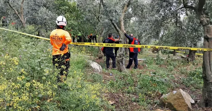 Bursa da feci ölüm! Emekli öğretmen ağaca asılı halde bulundu: Yakınları gözyaşlarına boğuldu