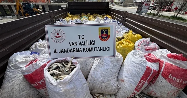 Van da 3 ton 820 kilo inci kefali ele geçirildi Van Haberleri