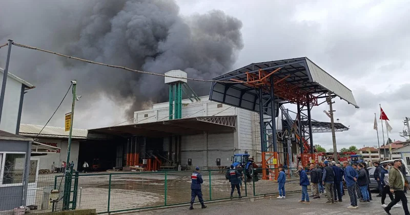 Sakarya da fabrika yangını: Müdahale sürüyor