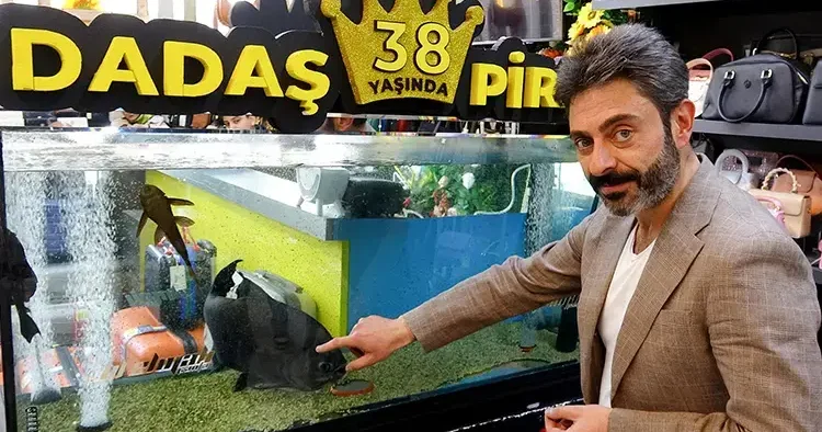 Dadaş isimli pirana için ilginç doğum günü kutlaması