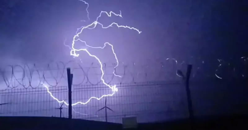 Tokat’ta fırtına nedeniyle ağaçlar devrildi