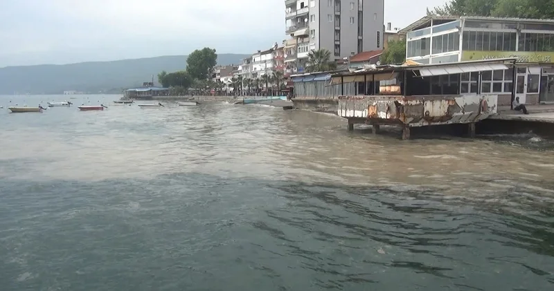 Marmara denizi alarm veriyor: Canlı ekosistemi çok büyük tehlike altında