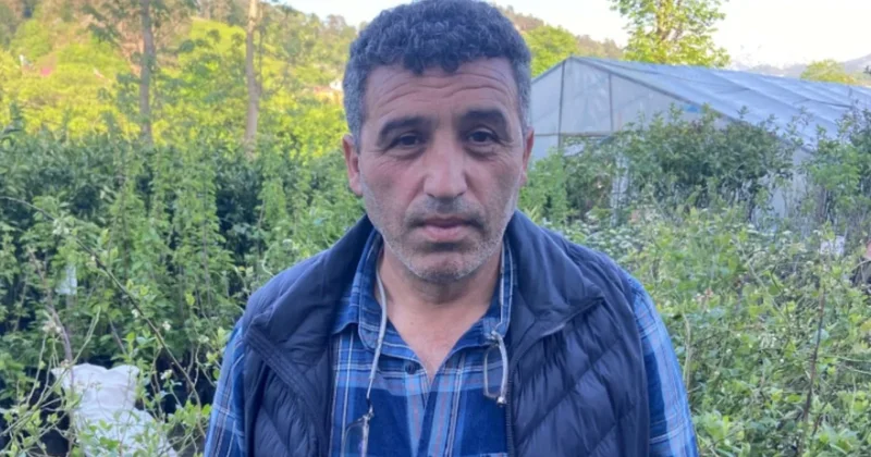 Fındıklı Ziraat Odası Başkanı: Yaş çayda üreticinin hakkı 35 liradır Sözcü Gazetesi