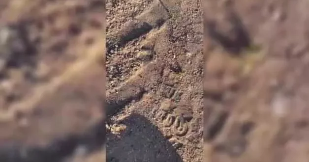 Bir garip olay: Keneler adeta vatandaşa saldırdı!