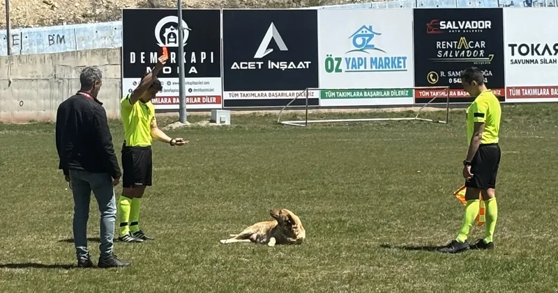 Konya da köpeğe kırmızı kart gösteren hakem o anları anlattı