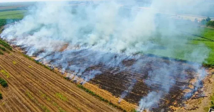 Karacasu Kaymakamlığı’ndan anız uyarısı