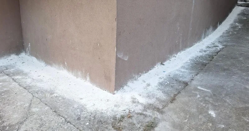 Mahalleli tedirgin; her tarafı istila ettiler