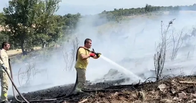 Çanakkale nin Çan ilçesinde orman yangını çıktı VİDEO İZLE
