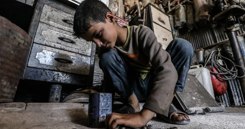Eğitim İş: MEB çocuk işçi bulma kurumuna dönüştü!