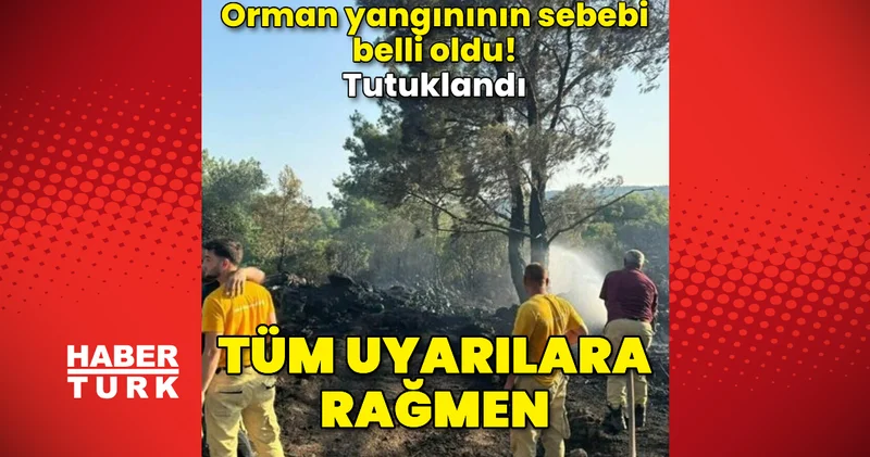 Mangal yaparken ormanı yakmış! Tutuklandı Güncel haberler