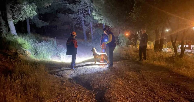 İstanbul da hareketli saatler: Ormana girip kaybolan vatandaş için arama çalışmaları başlatıldı İstanbul Haberleri