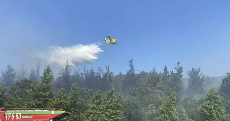 Çanakkale de orman yangını: Ekipler havadan ve karadan müdahale ediyor