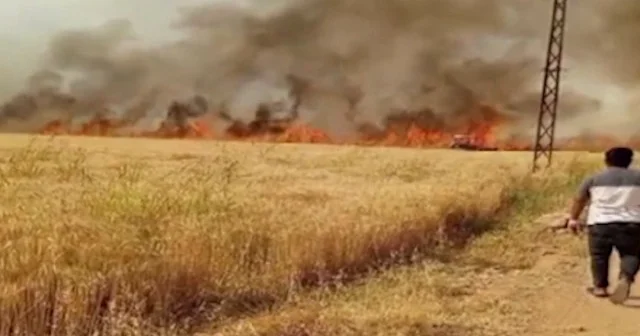 Hasada sayılı günler kala Harran da yangın VİDEO İZLE