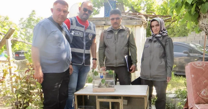 Saka kuşu ticareti yapan kişiye 77 bin 600 lira ceza