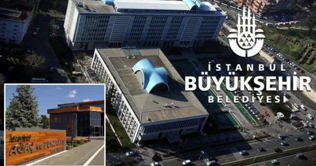 İBB’ye bağlı Ağaç A.Ş.’de yolsuzluk itirafı: Para verdim ödemelerimi aldım İstanbul Haberleri