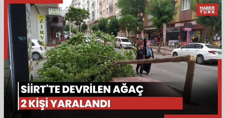 Rüzgar ağacı devirdi: 2 yaralı