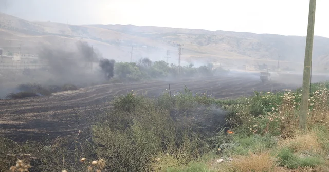 Siirt te çıkan anız yangını evlere sıçramadan söndürüldü Siirt Haberleri