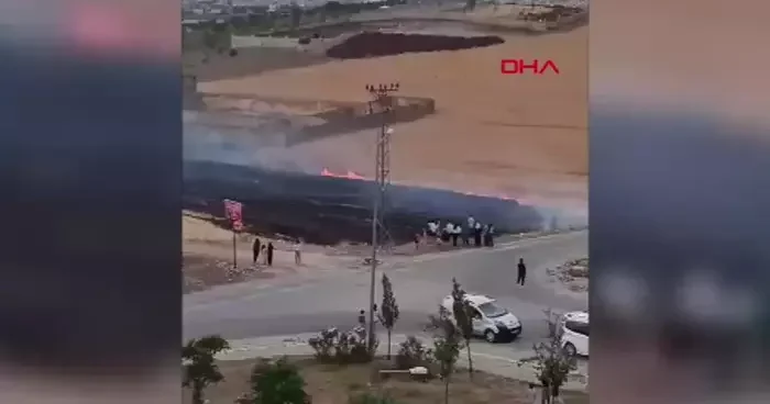 Batman da yangın! 30 dönüm ekili buğday yandı