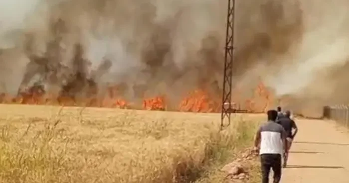 Harran Ovası nda 40 dönüm ekili arazi yandı