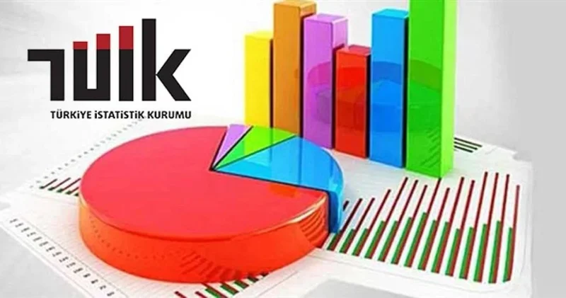 TÜİK ten şaşırtan 2024 verisi!