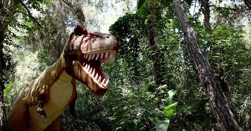 Dinozorların son yemeği fosillerden çıkarıldı! Sözcü Gazetesi