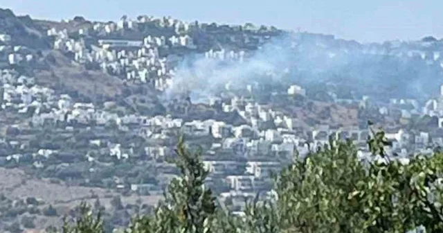 Bodrum da korkutan yangın: Tüm ekipler seferber oldu Gündem Haberleri