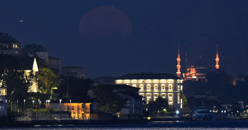 18 yıl aradan sonra İstanbul’da görüldü!
