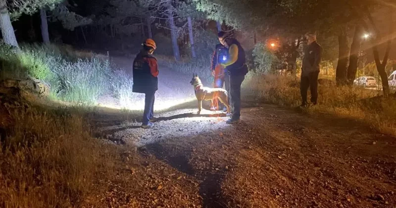 Pendik te esrarengiz olay! Ormana girdi bir daha haber alınamadı