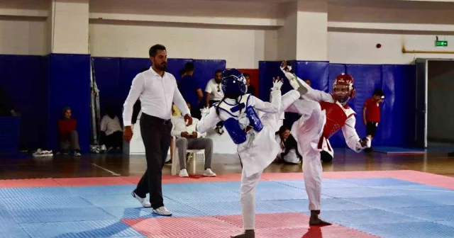 Elazığ’da tekvando heyecanı Salon Sporları Haberleri