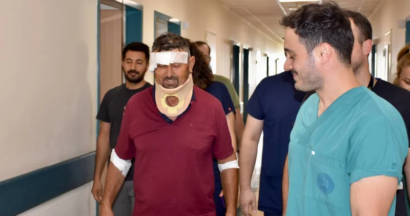 Zeus un saldırdığı çoban taburcu oldu: Aslanın bir suçu yok