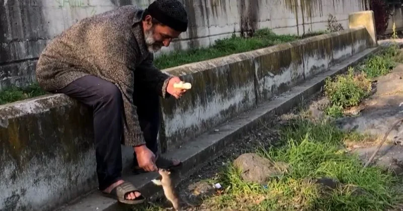 Samsun da farelerle kurduğu arkadaşlık ile biliniyordu! Şeref Yeşilbaş otobüs durağında ölü bulundu