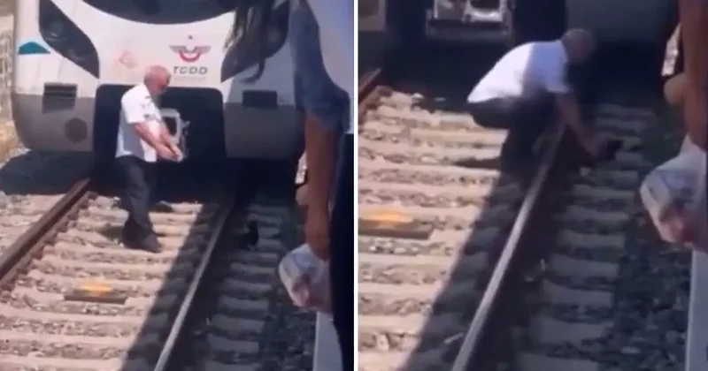 Raylara düşen kediyi kurtarmak için treni durdurdu, raylara indi