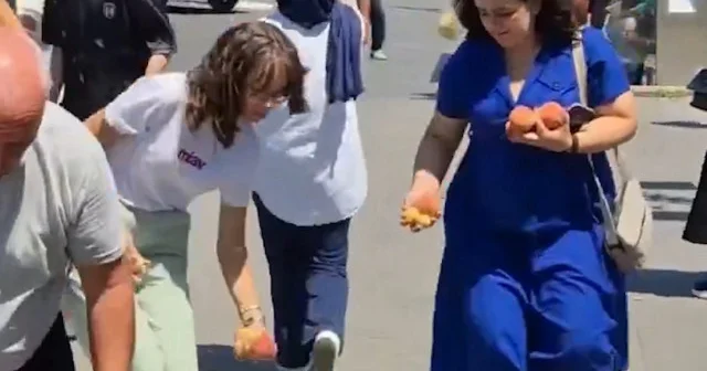 Yola saçılan meyveleri tek tek topladılar VİDEO İZLE