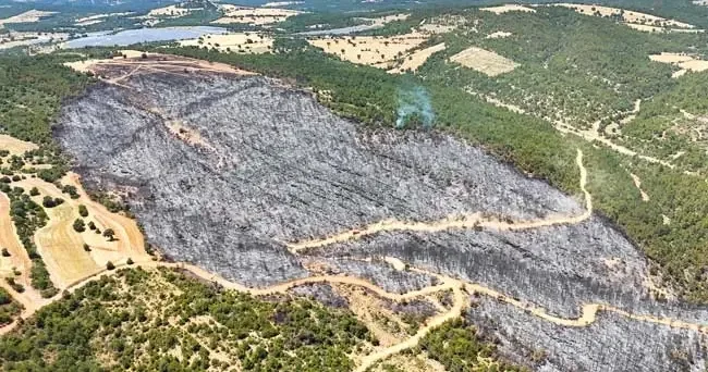 Uşak’ın yeşili yangınla karardı