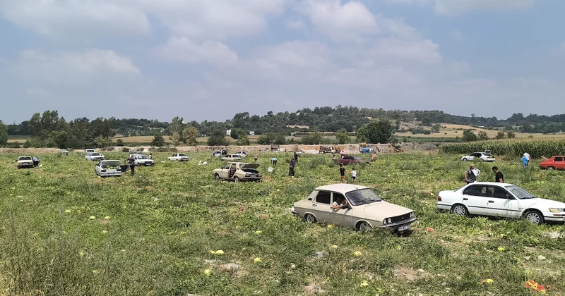 Satamayınca halka açtı, binlerce kişi akın akın tarlaya koştu Sözcü Gazetesi