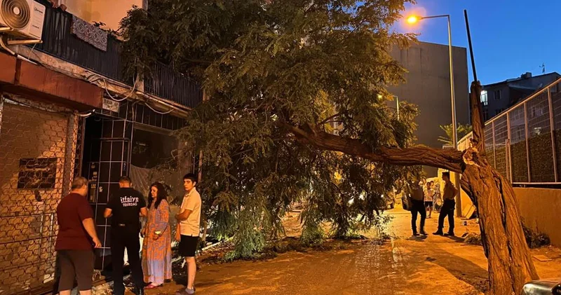 Balkonda kahve içen kadın hayatının şokunu yaşadı