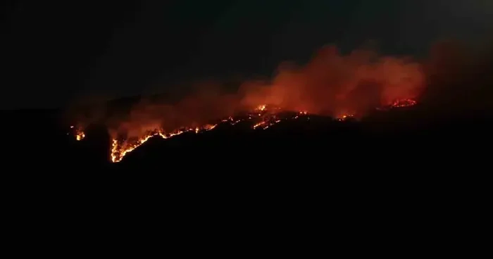 Çankırı’daki orman yangını havadan görüntülendi
