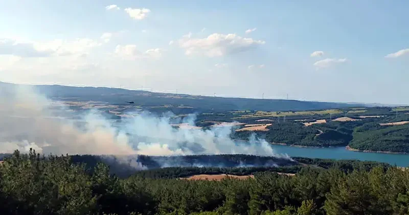 Tekirdağ da orman yangını; alevlerin tehdit ettiği bir mahalle boşaltılıyor